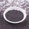 MIYUKI Round Rocailles Beads X-SEED-G007-RR0024-2