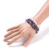 Chips Natural Mixed Stone Stretch Bracelets BJEW-JB05642-4