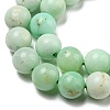 Grade A Natural Chrysoprase Beads Strands G-R494-A02-03-3