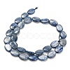 Natural Kyanite Beads Strands G-H335-D01-10x14mm-3