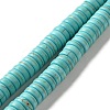 Synthetic Turquoise Dyed Beads Strands G-E594-20C-1