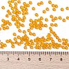 MIYUKI Round Rocailles Beads SEED-X0055-RR0137-4