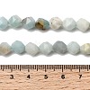 Natural Flower Amazonite Beads Strands G-Z119-A08-02-6