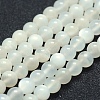 Natural White Moonstone Beads Strands G-P342-02A-8mm-A--1
