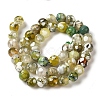 Dyed & Heated Natural Fire Crackle Agate Beads Strands G-P539-B01-22-3
