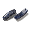 Natural Blue Spot Jasper Connector Charms G-G095-01B-2