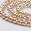 Eco-Friendly Glass Pearl Bead Strands X-HY-A008-6mm-RB019-3