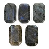 Natural Labradorite Pendants G-H325-03I-1