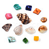 Natural Freshwater Shell & Sea Shell Beads SHEL-S278-038-5
