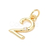 Brass Micro Pave Cubic Zirconia Pendants KK-D019-28G-02-2