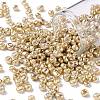 6/0 Glass Seed Beads X-SEED-A017-4mm-1107-1