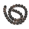 Natural Ice Obsidian Beads Strands G-P590-A01-10mm-02-5