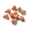 Natural Pink Shell Dyed Round Charms SSHEL-H071-01G-04-1