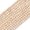 Electroplate Bicone Glass Beads Strands GL-T021-2.5x3mm-16-14-1