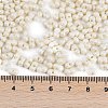 Baking Paint Glass Seed Beads X1-SEED-K010-A16-4