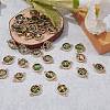 40Pcs 20 Style Glass Links/Connectors GLAA-SZ0001-63-3