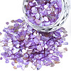 Natural Freshwater Shell Slices MRMJ-N026-003-07-2
