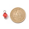 Transparent Acrylic Charms PALLOY-JF01744-3