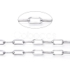 Non-Tarnish 3.28 Feet 304 Stainless Steel Paperclip Chains X-CHS-D030-02P-1