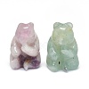 Natural Fluorite Sculpture Display Decorations G-F719-55B-2