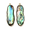 304 Stainless Steel Pave Natural Paua Shell Pendants STAS-Z125-01C-G-1