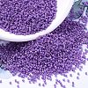 MIYUKI Delica Beads SEED-MY11-DB0660-1