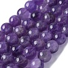 Natural Amethyst Beads Strands G-S031-1-1