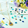 26Pcs 13 Styles Synthetic Blue Lace Agate & Black Stone & Natural White Jade & Amazonite & Unakite Cabochons G-TA0003-28B-7