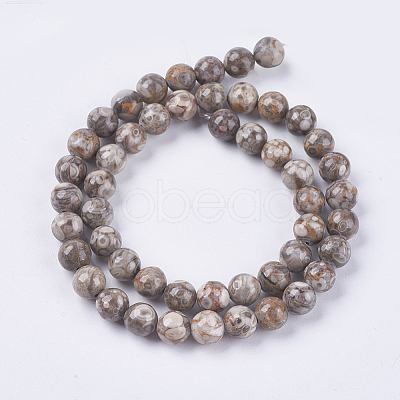 Natural Maifanite/Maifan Stone Beads Strands G-I187-6mm-01-1
