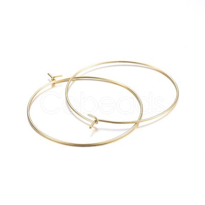 316 Surgical Stainless Steel Hoop Earrings X-STAS-P210-26G-01-1