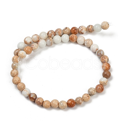 Dyed Natural Regalite/Imperial Jasper/Sea Sediment Jasper Beads Strands G-B124-C04-11-1