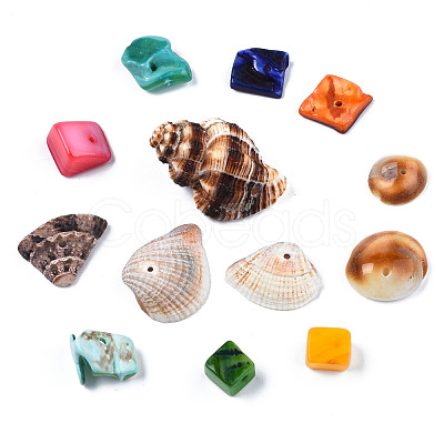 Natural Freshwater Shell & Sea Shell Beads SHEL-S278-038-1