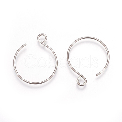Tarnish Resistant 304 Stainless Steel Earring Hooks X-STAS-L216-02A-P-1