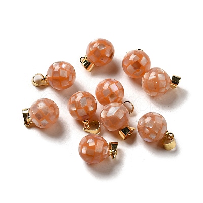 Natural Pink Shell Dyed Round Charms SSHEL-H071-01G-04-1
