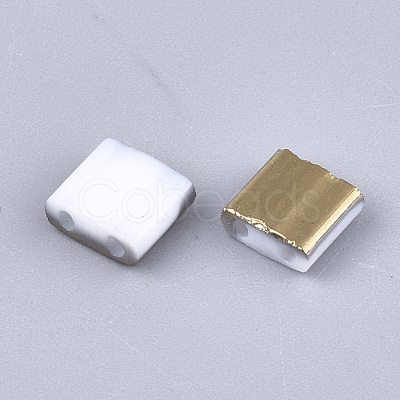 Electroplate Opaque Glass Seed Beads SEED-S023-18C-01C-1