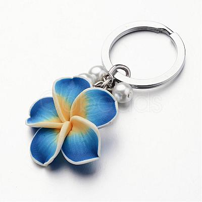 Platinum Tone Iron Keychain KEYC-JKC00085-1