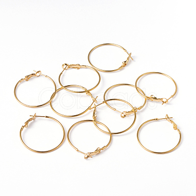 Brass Hoop Earrings EC108-1NFG-1