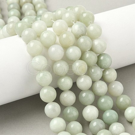 Natural Xiuyan Jade Beads Strands G-Z085-A01-10mm-1