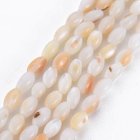 Natural Freshwater Shell Beads Strands SHEL-N027-08B-1