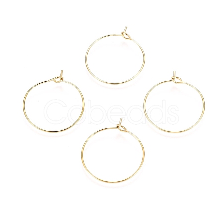 Ion Plating(IP) 316L Surgical Stainless Steel Hoop Earring Findings STAS-D164-02G-A-1