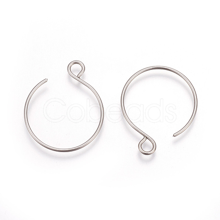 Tarnish Resistant 304 Stainless Steel Earring Hooks X-STAS-L216-02A-P-1