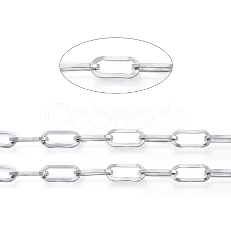 Non-Tarnish 3.28 Feet 304 Stainless Steel Paperclip Chains X-CHS-D030-02P-1