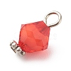 Transparent Acrylic Charms PALLOY-JF01744-4