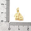 Brass Micro Pave Cubic Zirconia Charms KK-C139-24B-G-3
