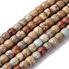 Natural Aqua Terra Jasper Beads Strands G-L624-D03-8x6mm-2
