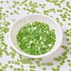 MIYUKI TILA Beads SEED-JP0008-TL258-2