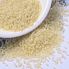 MIYUKI Delica Beads X-SEED-J020-DB1287-1