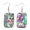Abalone Shell/Paua Shell Dangle Earrings EJEW-K081-02D-1