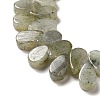 Natural Labradorite Beads Strands G-B064-B62-4