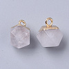 Natural Quartz Crystal Charms X-G-S359-015F-2